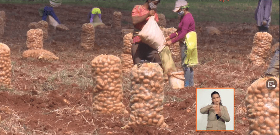 Ministro de la Agricultura actualiza sobre el proceso de implementación de las 63 medidas para dinamizar la producción agropecuaria