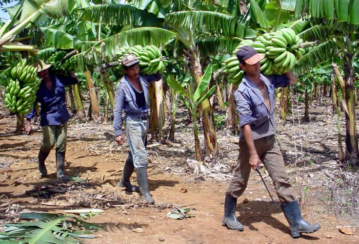 Que el turismo «se alimente» con productos cubanos