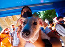 Realizan Feria de Bienestar Animal