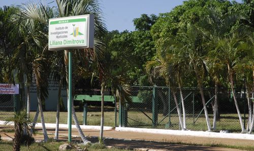 Retos de la investigación científica en Instituto Liliana Dimitrova