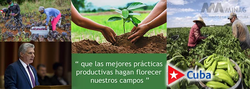 Presentarán hoy Plan Nacional de Soberanía Alimentaria