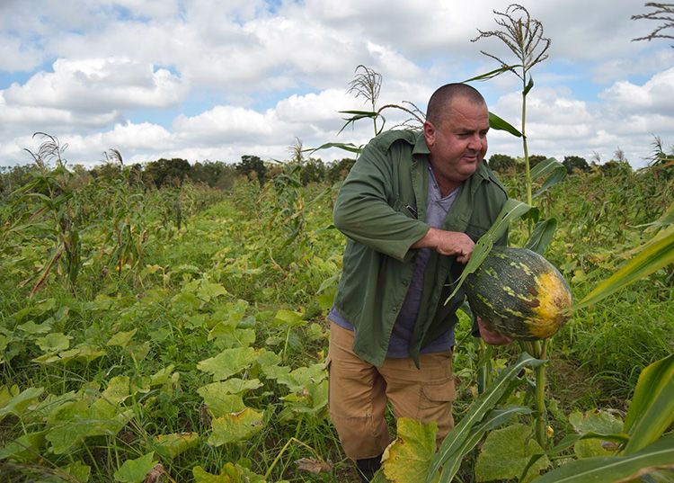Armando productor. Cuando la producción está en buenas manos