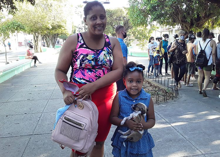 Materializar el bienestar animal en Pinar del Río