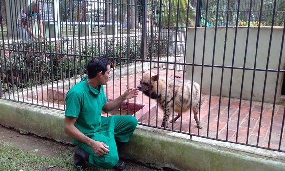 El Sindicato Nacional de Trabajadores Agropecuarios, Forestales y Tabacaleros y el Centro Nacional de Sanidad Animal del Ministerio de la Agricultura
