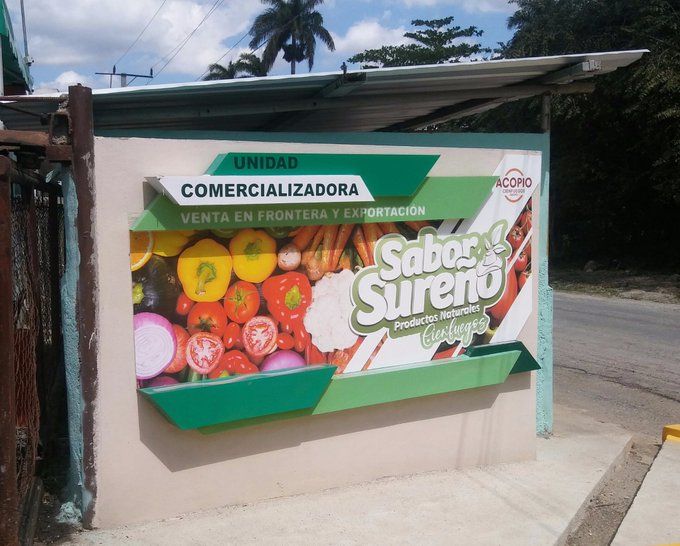 Consolidan polo exportador de Acopio en la provincia de Cienfuegos