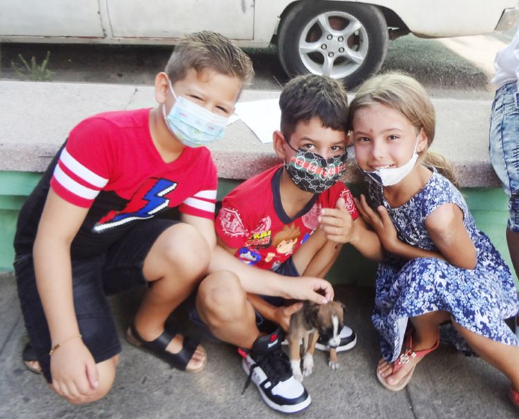 Materializar el bienestar animal en Pinar del Río