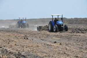 GELMA. Insumos agrícolas GELMA. Insumos agrícolas