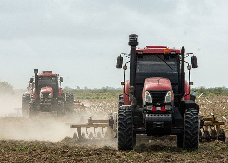 Inician arroceros en Pinar del Río cosecha de la campaña de frío