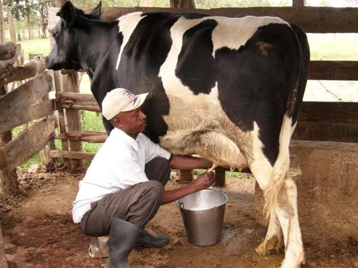 Valiosas acciones de superación a disposición de las cooperativas agropecuarias en Pinar del Río