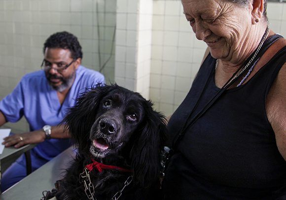 Jornada Veterinaria en Cuba
