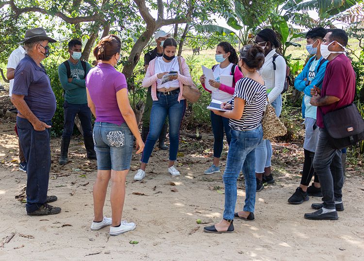 Estrechar en Pinar del Río alianzas entre ciencia y agricultura