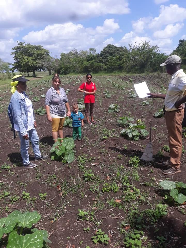 Voz común en la campiña: Mantener la iniciativa