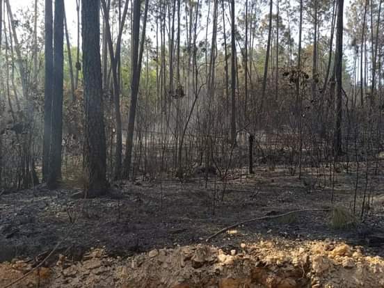 Combaten en Pinar del Río un incendio forestal de grandes proporciones