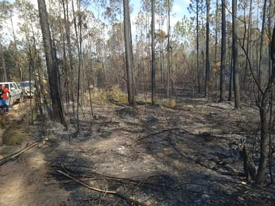 Combaten en Pinar del Río un incendio forestal de grandes proporciones