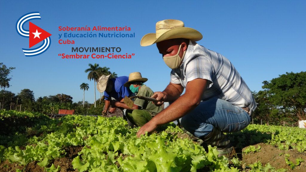 Nace Movimiento gubernamental e intersectorial “Sembrar Con-Ciencia” por una producción sostenible, una alimentación nutritiva y saludable para todos
