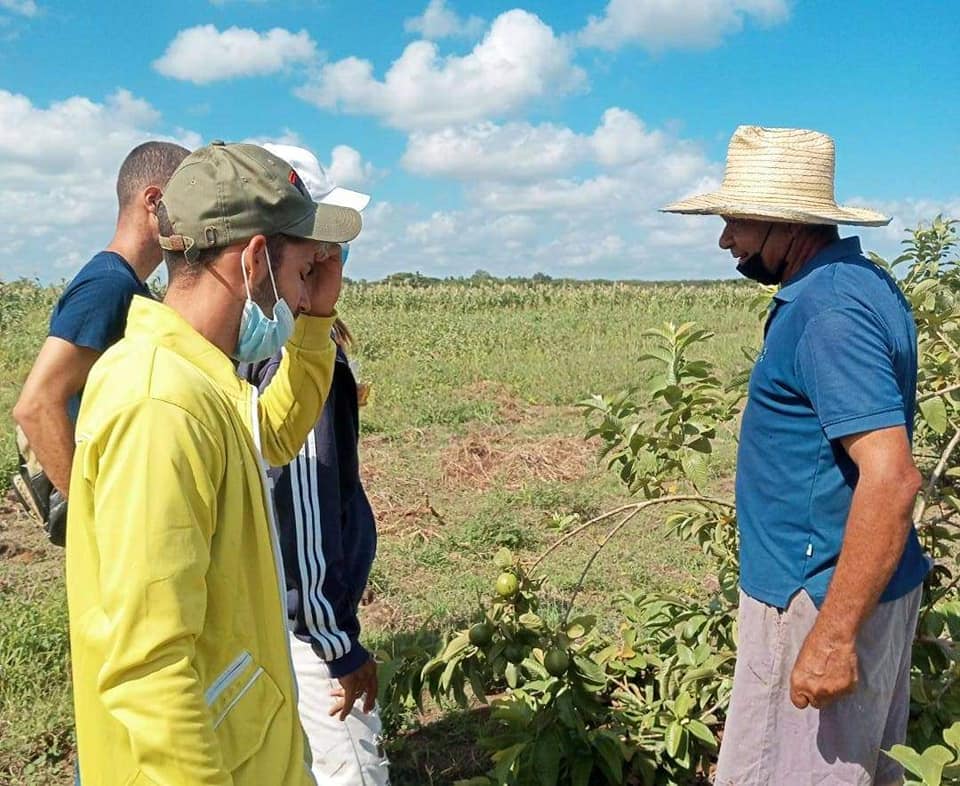 Voz común en la campiña: Mantener la iniciativa