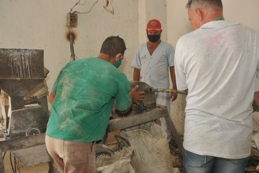 Voluntad y compromiso para rescatar el programa porcino