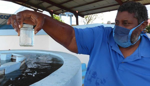 Pinar del Río potencia la acuicultura en áreas arroceras en reposo