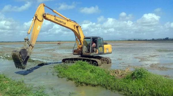 Pinar del Río potencia la acuicultura en áreas arroceras en reposo
