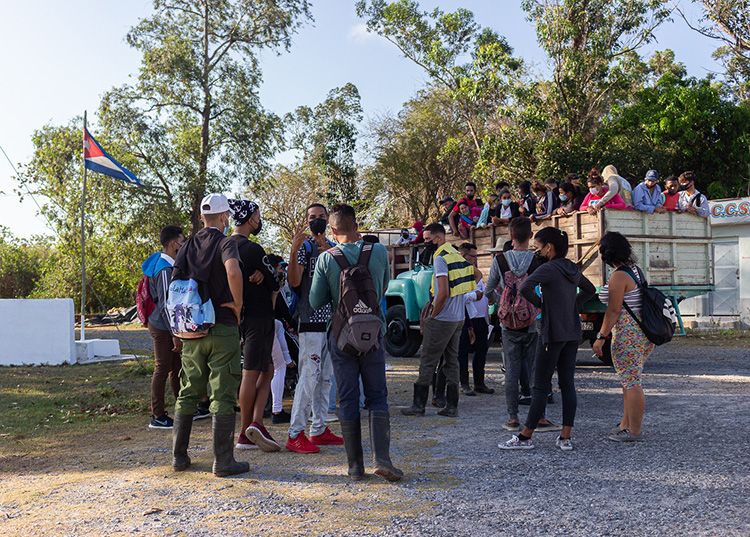 Estrechar en Pinar del Río alianzas entre ciencia y agricultura