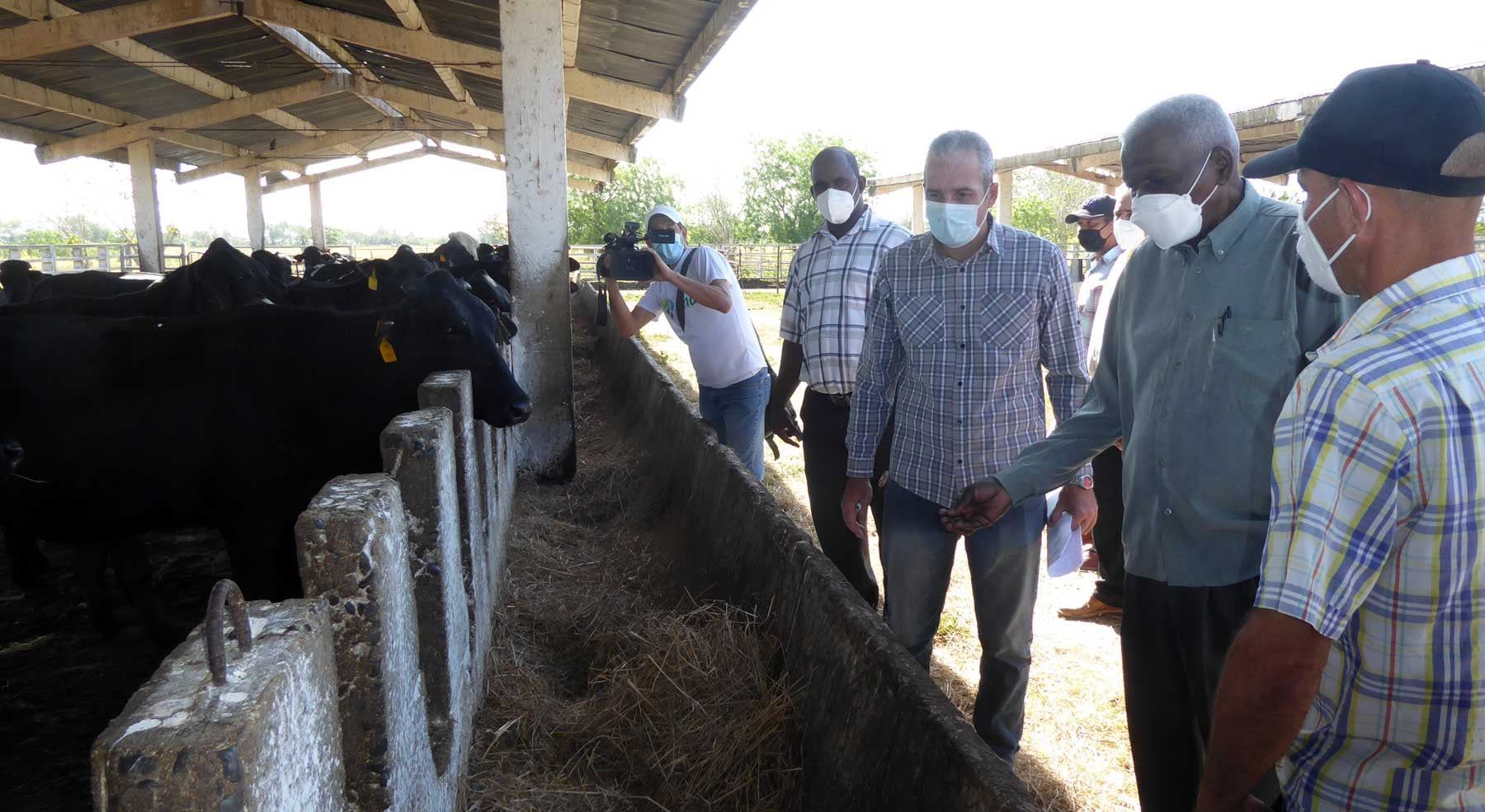 Esteban Lazo recorrió áreas de la agricultura de Pinar del Río