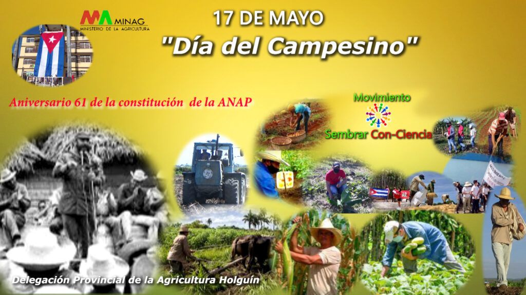 La Delegación Provincial de la Agricultura en Holguín, celebra el Día del Campesino y el 61 Aniversario de la constitución de la ANAP este 17 de Mayo
