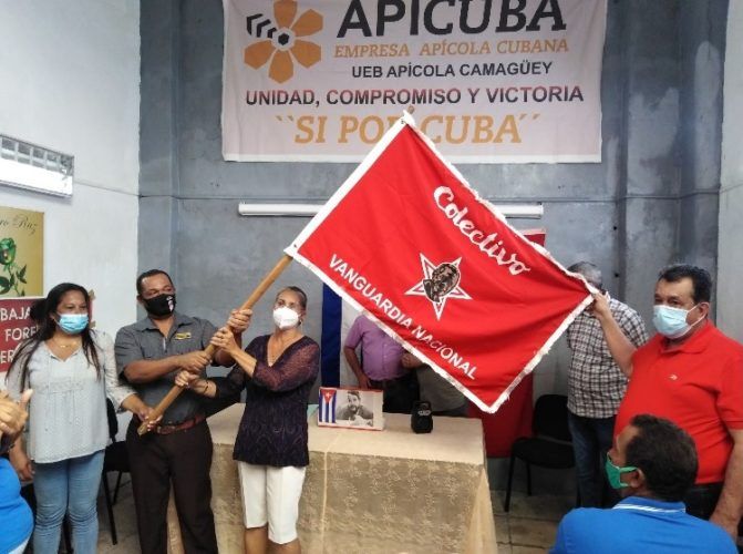 Apicultores cubanos reciben la condición Vanguardia Nacional