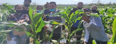 Fortalecer la producción agropecuaria desde el cooperativismo en Pinar del Río