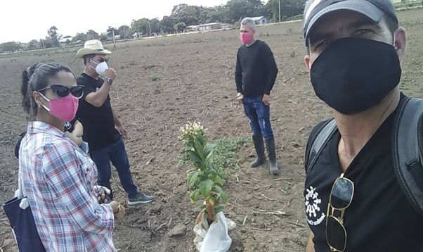 Fortalecer la producción agropecuaria desde el cooperativismo en Pinar del Río