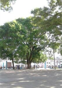 Parque Trillo Parque Trillo