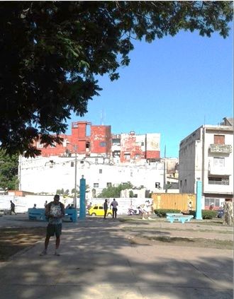 Convocan a 5ta Feria de Bienestar Animal próximo 4 de junio organismos encargados de la Política de Bienestar Animal en Cuba