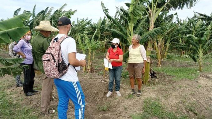Movimiento Sembrar Con-Ciencia activo en Granma