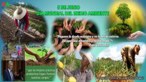 5 DE JUNIO DIA MUNDIAL DEL MEDIO AMBIENTE 2 1 5 DE JUNIO DIA MUNDIAL DEL MEDIO AMBIENTE 2 1