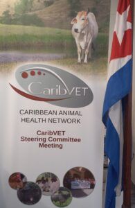 CaribVET 1 CaribVET 1