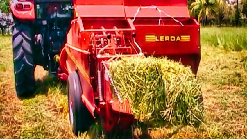 Actualización del proceso de siembras para la alimentación animal