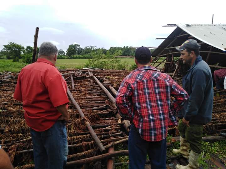 Pinar del Río, Tabacaleros por la recuperación