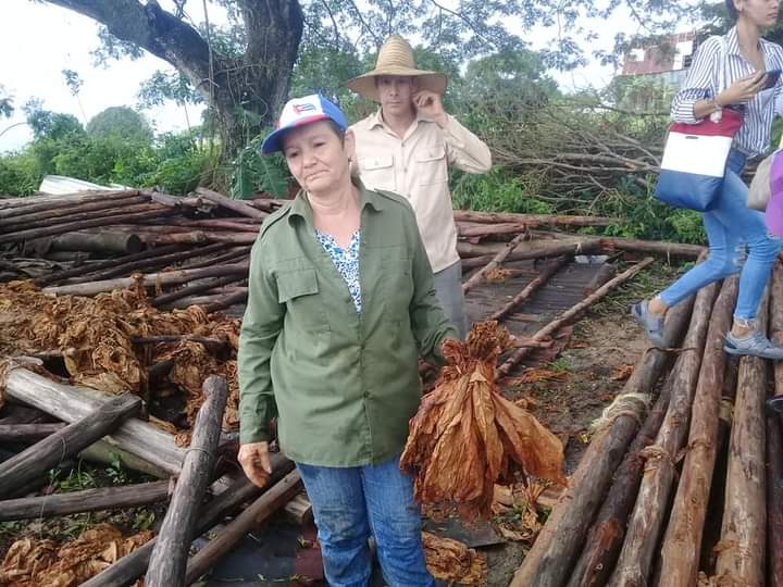 Pinar del Río, Tabacaleros por la recuperación