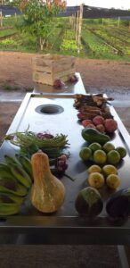 Agricultura Agricultura