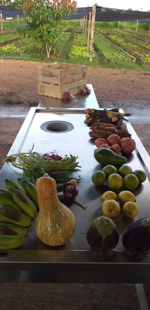 De la tierra a la mesa
