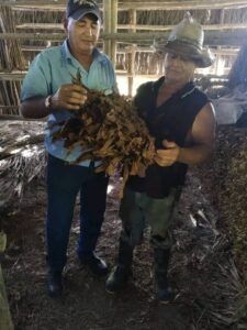Empresa de Acopio y Beneficio de Tabaco Sancti Spíritus Empresa de Acopio y Beneficio de Tabaco Sancti Spíritus