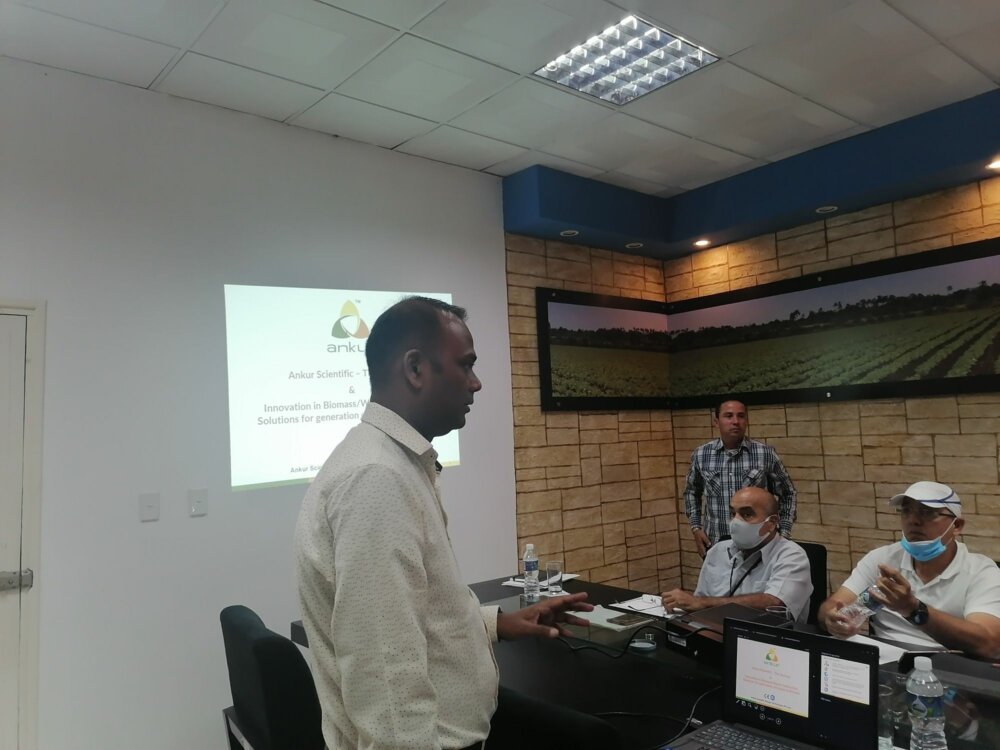 Uso de la energía renovable en el sector agrícola, memorándum, boyeros, protocolo