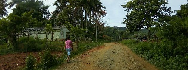 Transformación social en las montañas de Cienfuegos (+ Infografía)