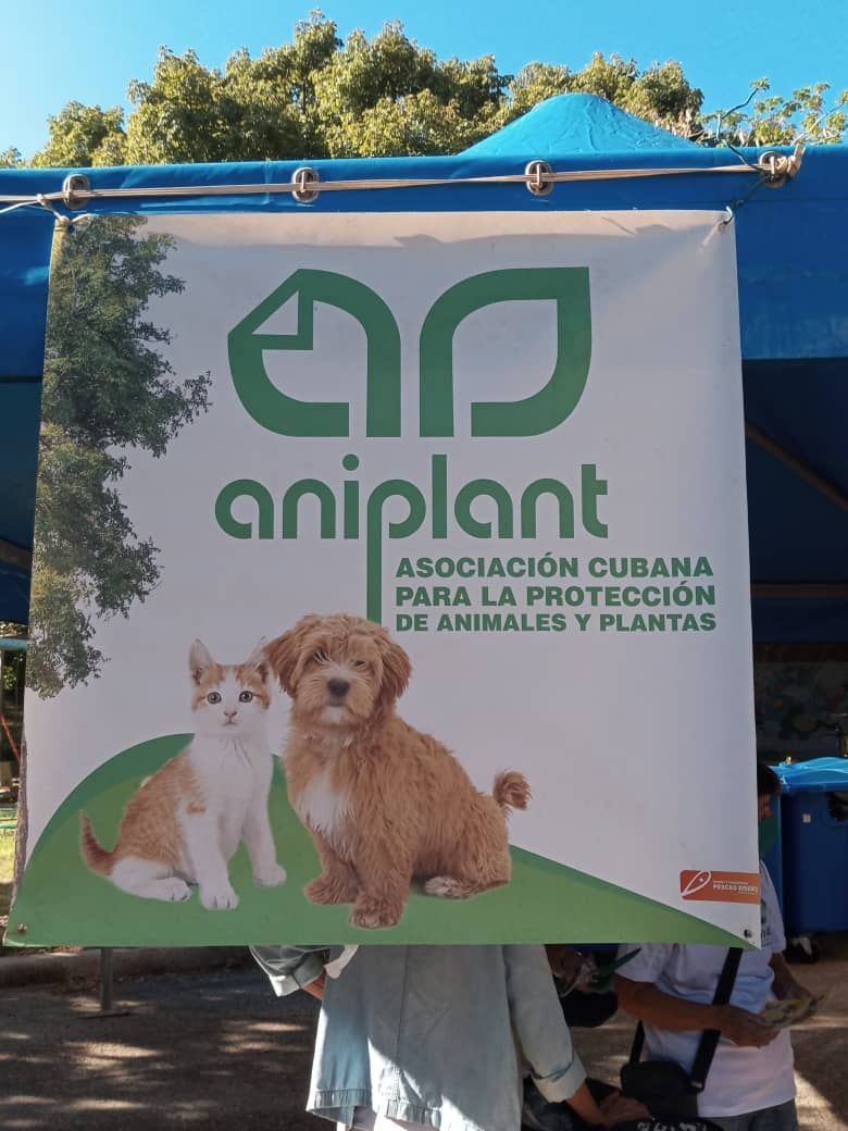 parque Almendares. ¿Hemos avanzado en el Bienestar Animal?” +PDF