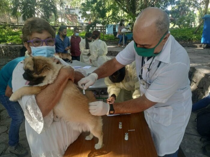 vacunación de caninos. ¿Hemos avanzado en el Bienestar Animal?” +PDF