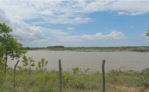 Cuba, Pinar del Río, afectaciones, intensas lluvias, junio, 2022, MINAG, recuperación, informe Cuba, Pinar del Río, afectaciones, intensas lluvias, junio, 2022, MINAG, recuperación, informe