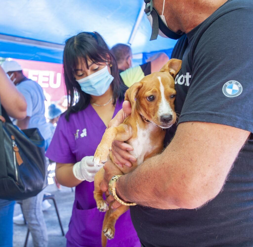 Nueva programación de la Feria Nacional de Bienestar Animal