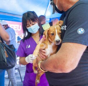 Feria de adopciones Feria de adopciones