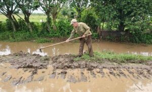 Afectaciones del sistema de la Agricultura por intensas lluvias a principios de junio Afectaciones del sistema de la Agricultura por intensas lluvias a principios de junio
