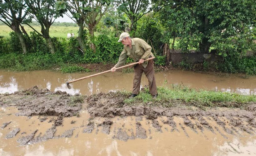 Afectaciones del sistema de la Agricultura por intensas lluvias a principios de junio (II)