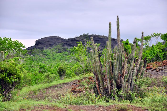 Rinde fruto Programa Nacional de Lucha contra la Desertificación y la Sequía en Guantánamo